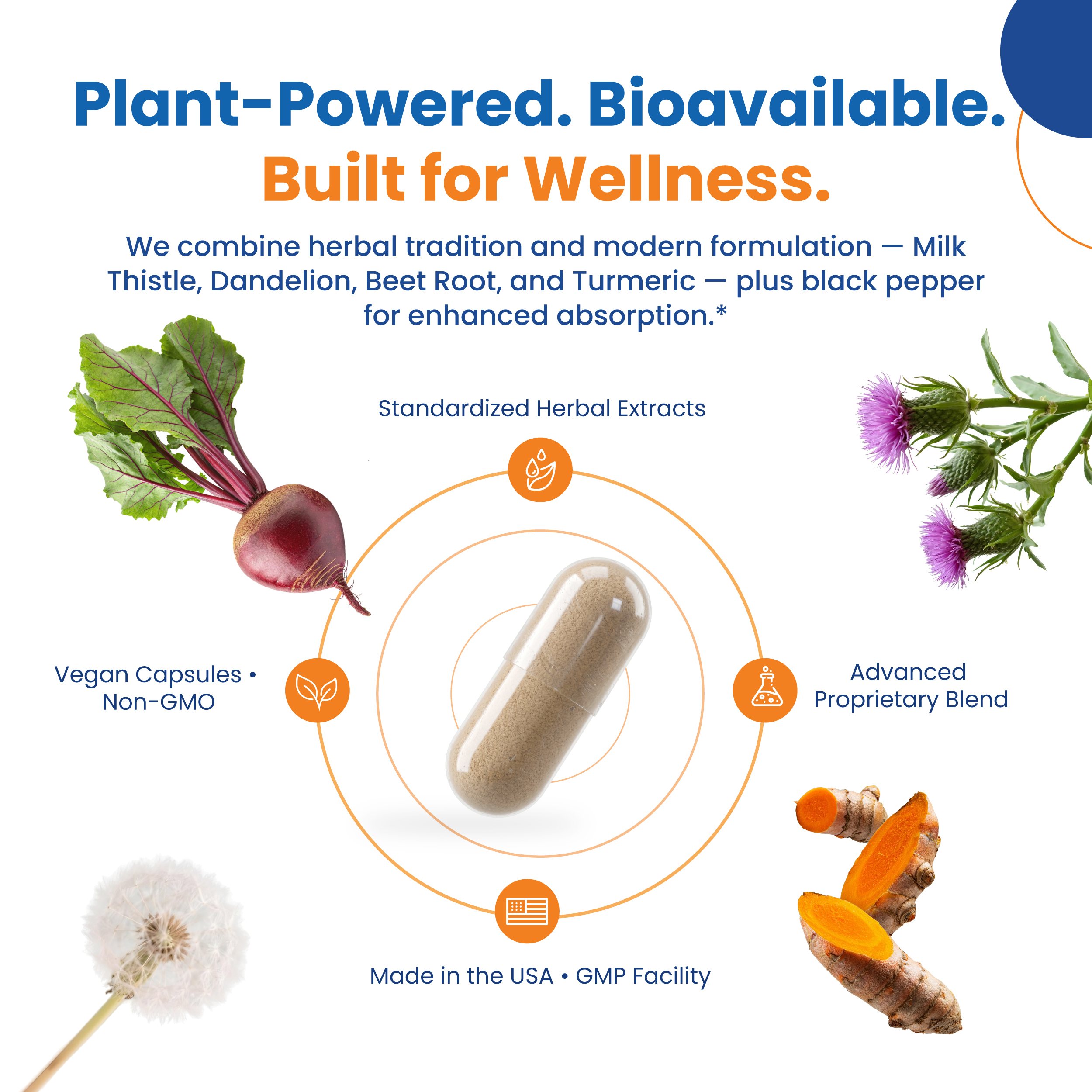Plant-Powered. Bioavailable. Built for Wellness.