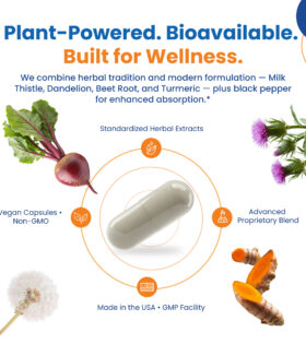 Milk Thistle Max- Liver Support Formula