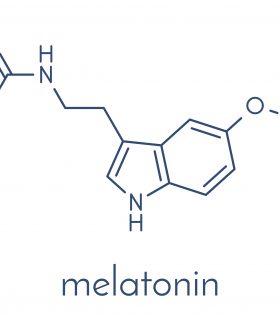 shutterstock_715355767-1